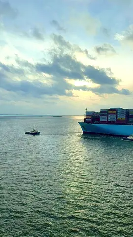 Mumbai Maersk arriving at Bremerhaven. It looks very elegant and easy… She is a 400m long lady and this manoeuvre took 1 hour of focused skills and teamwork from crew and pilot and the 4 tugboats. #seafarersarekeyworkers  . #mumbaimaersk #maersk #teamwork #crew #pilot #captain #tugboat #maneuver #skills #focus #job #work #arbejde #supplychain #logistics #containership #danishshipppng #detblaadanmark #blivskibsofficer #captainthomas #ventamaersk #alwaysonboard 