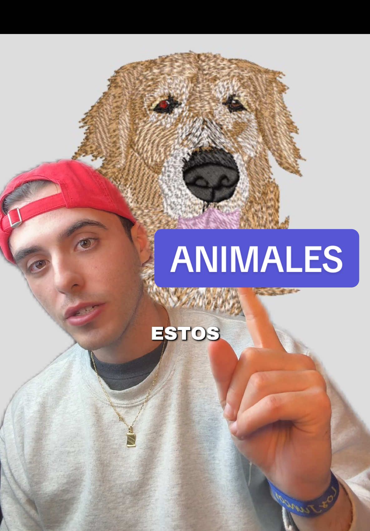 Cómo digitalizar los animales? #arteenbordado #wilcomembroiderystudio #embroideryartwork #embroideryskills  