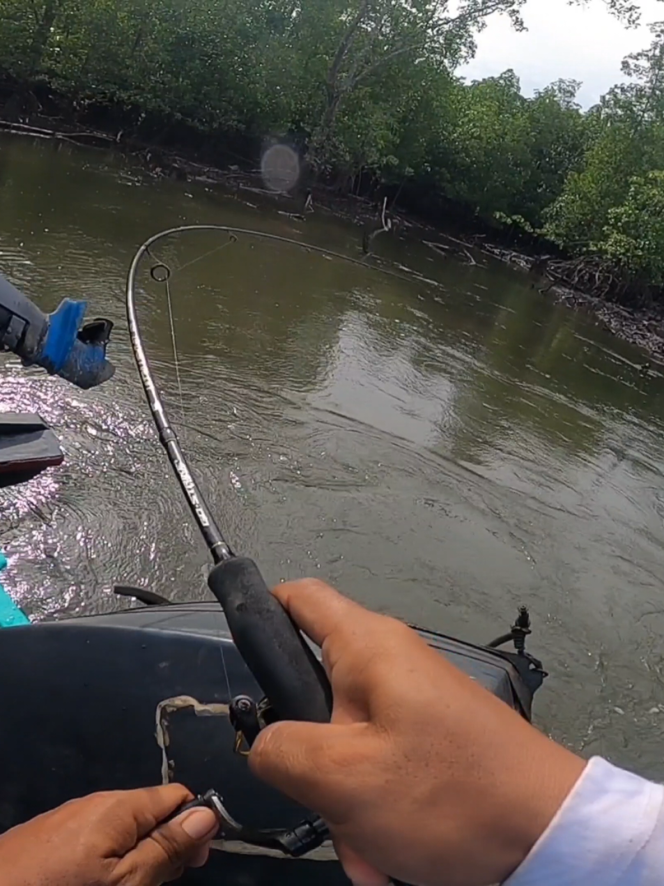 Mangrove jack besar,di belakang pintu tambak !!! rod Ultralight GT 662,reel omega 1000,pe 1 cortex,minow Kraken. #fyp #casting #mangrovejack #exodus #gostrike 