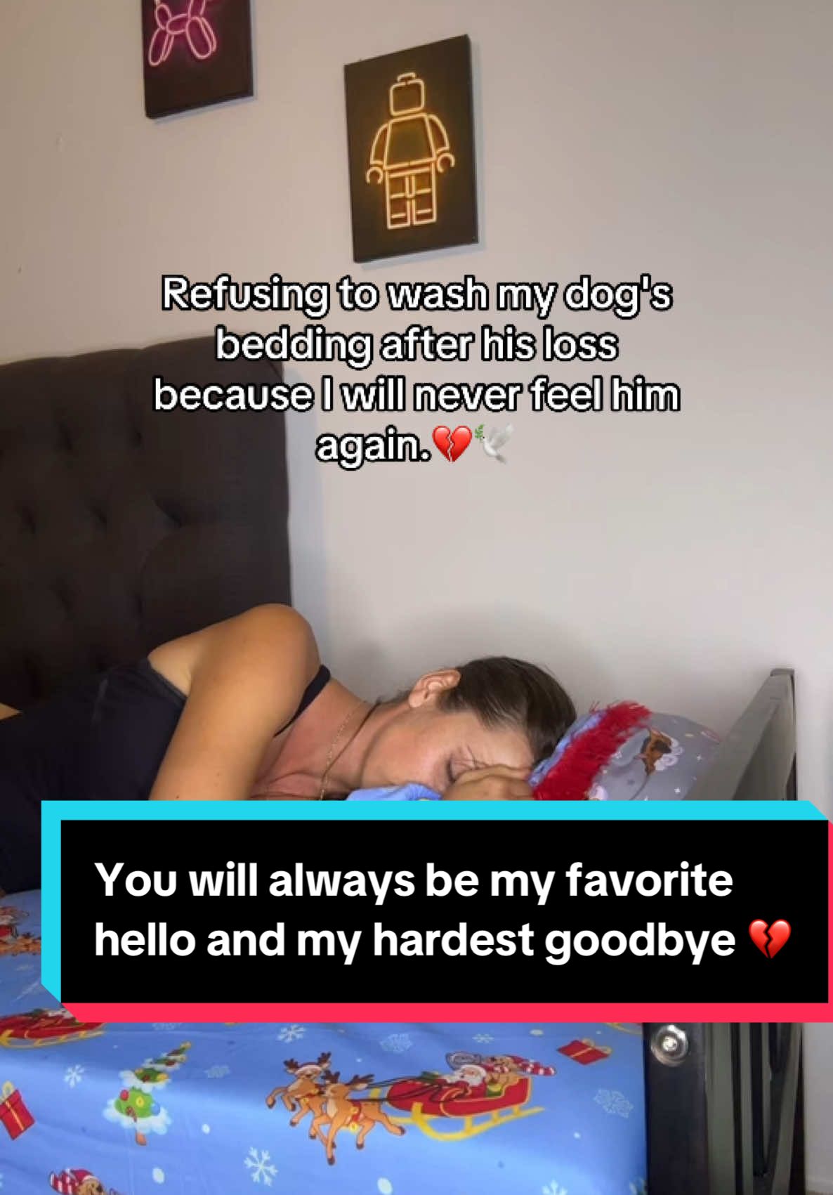 You will always be my favorite hello and my hardest goodbye 💔 . #petgrief #petloss #dogs #grief #imissyou #iloveyou 