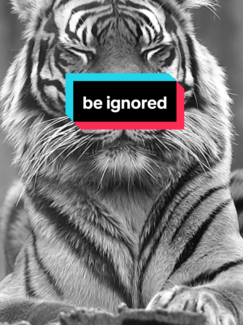 لا تستهين بي ابدا فصمتي لا يعني جهلي بما يدور حولي Never underestimate me, my silence does not mean I am ignorant of what is going on around me #اقتباسات #حالات_واتس#تيك_توك #اكسبلور#ترند#كلام_من_ذهب #تحفيز#عبارات #ستوريات #motivation #motivationalquotes #motivationmonday #motivationalvideo #explore #pourtoii #fyp #viral_video #newtrend #treanding #tiktoklongs #tik_tok #italy #france #السعودية#العراق #الجزائر#المغرب #سوريا#الامارات #الاردن#ليبيا #تونس#الكويت #قطر #البحرين #لبنان #عمان 