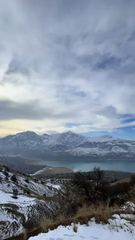 Gul bo'lsayding #abrormuxtoraliy 