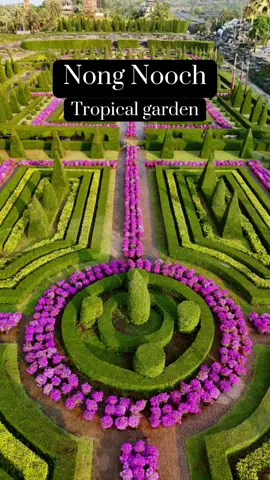 #nongnoochpattayagarden  #thb #pataya #thailand 