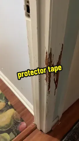 Protect your doors, walls, corners, furniture, car… you name it. #tiktokdog #fypdog #tiktoker #dogtoker #tts #dogtoks #catownerproblems #catmomlife 