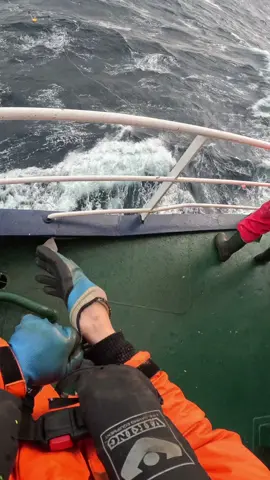 #storm #offshore #norgvarg #tiktoksea #sea #ship 