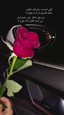 علمتني الخيبة أن الجرح لا يتسبب بموتنا ولا تقف  الحياة على عتبة الرضى بعد كل خيبة أحمل وجعي وقلبي واركض بإتجاه الحياة  ..#نـادرةالمرتجي 