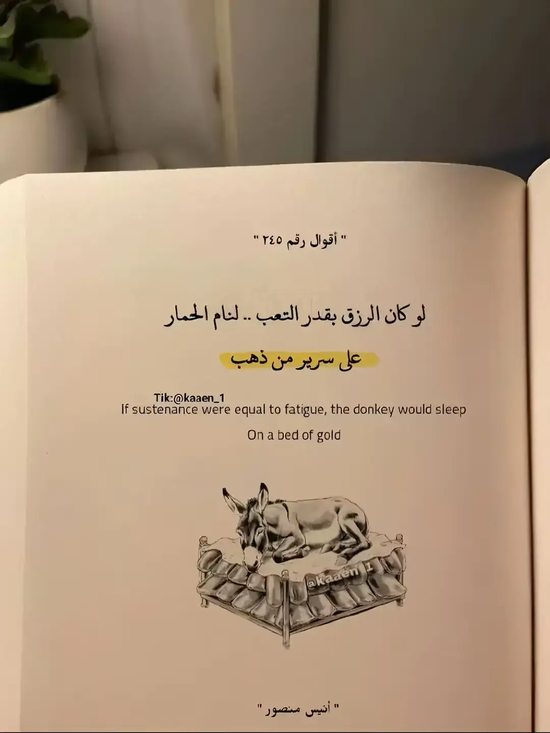 #خواطر_من_الماضي #❤️🥀🥺 ❤️🥀🥺#❤️ #fypシ #fyp #fypシ゚ #حب #كيف_انساك #ستوريات_حب #عبدالرحمن_محمد #خواطر_من_الماضي #كريم_محسن #عمار_السلامي #حلات_واتس #سعد_الرفاعي #خربشات_كسر #اقتباسات_حب #خربشات #للعقول_الراقية_فقط🤚🏻💙 #اقتباسات_عبارات_خواطر🖤🦋🥀 #bbbbbbbbbbbbbbbbbbbbbbbbbb #pfyyyyyyyyyyyyyyyyyyyyyyyyyyyyyyyy 