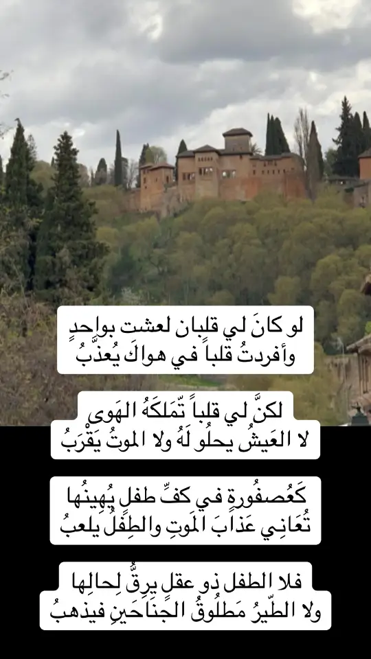 #قصايد_شعر_خواطر_شيلات_الاكسبلور#قصر_الحمراء_الأندلس#غرناطة#