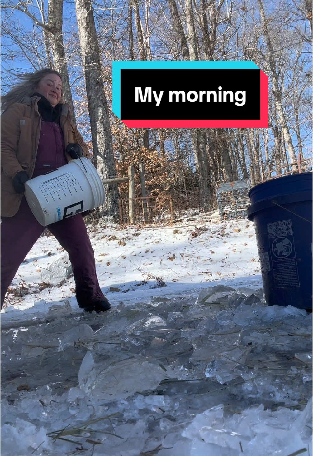 Spend the morning with me! #spendthemorningwithme #woollyranch #bottlecalf #farm #sheepfarm #snow #ice #farmchores 
