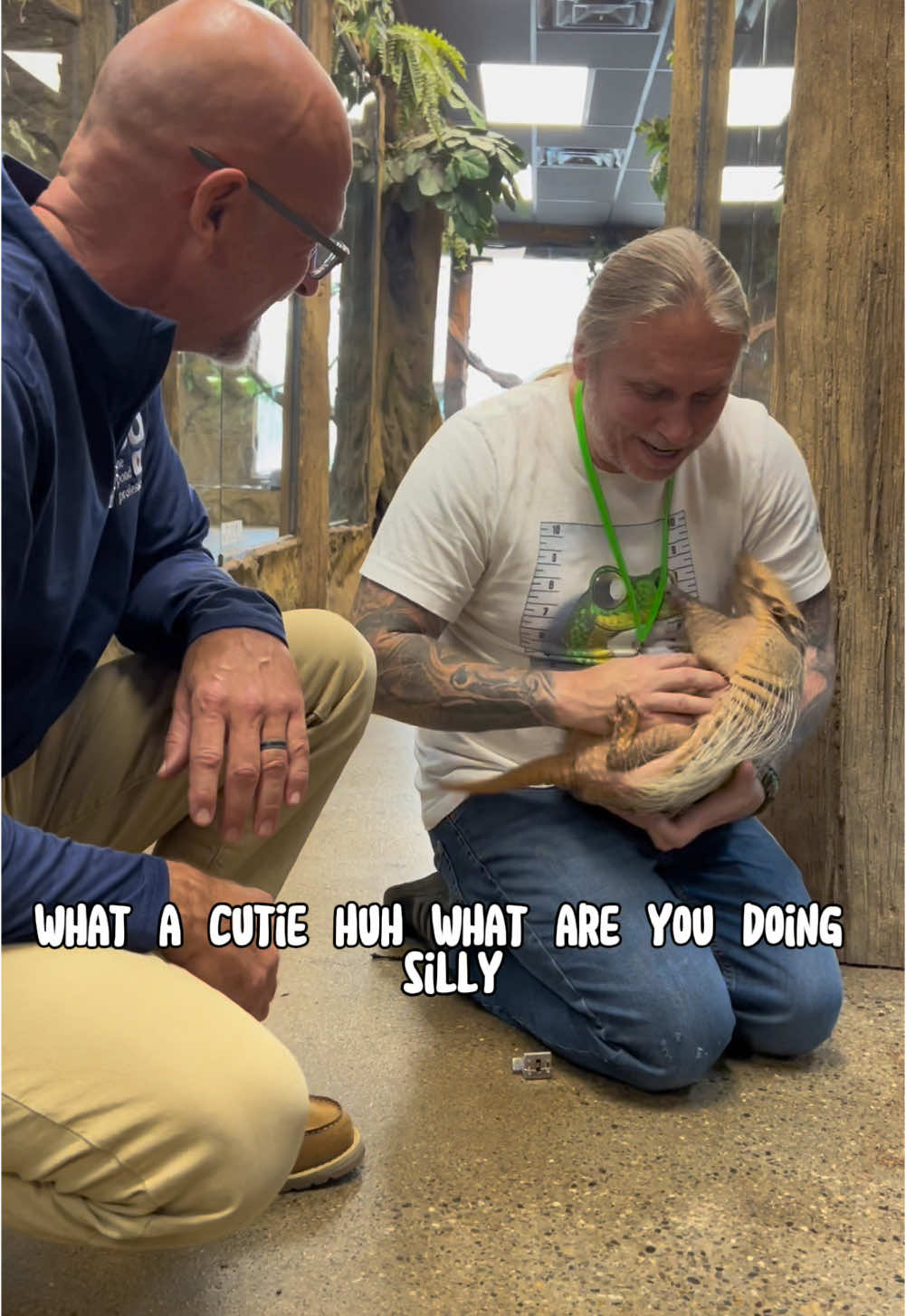The Ultimate Emotional Support Animal 😍 Brillo The Armadillo