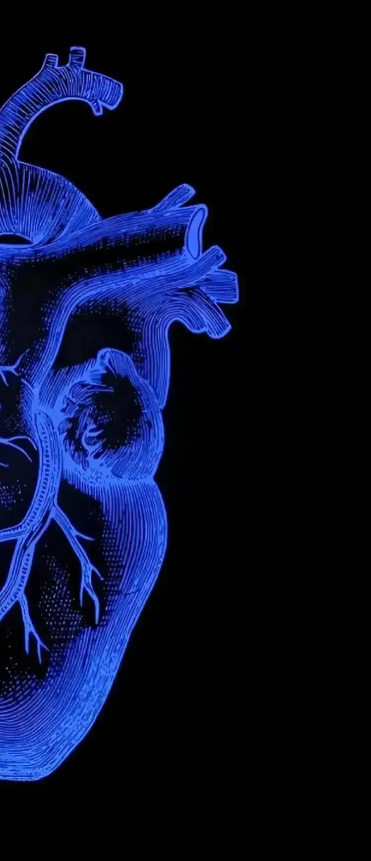 #القران#القران_الكريم_راحه_نفسية😍🕋 