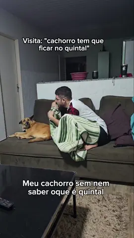 Primeiramente que ela nem sabe que é uma cachorro kkkkkkkkk#cachorro #quintal 