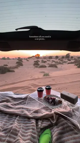 Car picnic is always a great idea! 