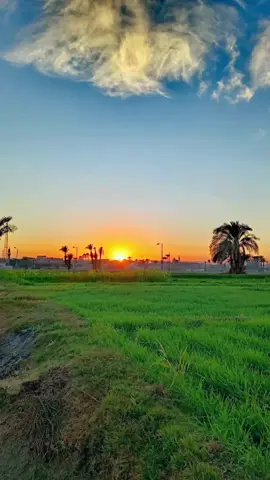 #راحة_نفسية #قران #قران_كريم #اللهم_صلي_على_نبينا_محمد #محمد_رفعت #الشيخ_محمد_رفعت #هو_الذي_جعل_لكم_الليل_لتسكنوا_فيه 