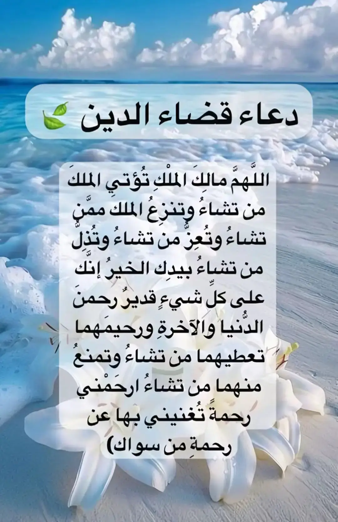 -لا -إله- إلا -الله -محمد- رسول -الله -#💐🌸🌸🌸 #capcut #explore #fouryou #Lovers #💐🌸🌸🌸 #🥰🥰🥰 