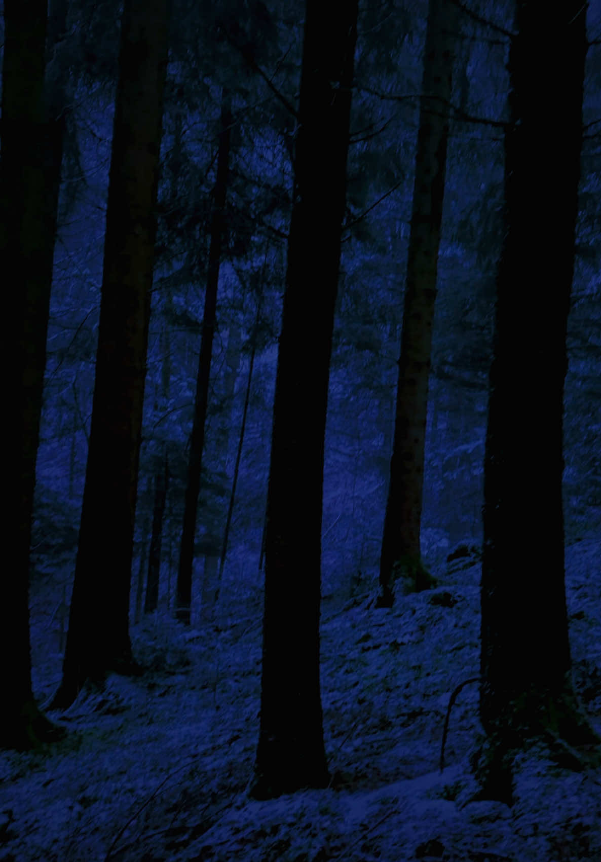 #fypシ #xzyabc #wockst★rz #life #lost #gone #hate #hurt #Love #pain #real #core #snow #dark #night #darkcore #naturecore #nightcore #wintercore #snowcore #sadcore #hopecore #realcore #corecore #nichecore #griffrule #darkness #nighttime #wilderness #nature #snowaesthetic #winteraesthetic #natureaesthetic #lonewocksta #steezyluv #mentalhealthmatters #foryou #foryoupage #trending #blowthisup #viral #sadthoughts #latenightthoughts #3amthoughts #depressingthoughts #natureslideshow #slideshow #realslideshow #fy #derealization #nostalgia #foggynights #foggy #foggyaesthetic #aesthetic #darksnowynights #regret #mistakes #empty #aneixty #aneixtyawareness #depressionanxiety #depresion #nothing #beauty #beauitful #alone #lonelynights #lonelythoughts #loneliness #fog #depressionawareness #snowyaesthetic #snowyweather #snowyday #endlessloop #fallnights🍁 #summernights #warmwinterdays #warmwinternights #coldweatheraesthetic #coldweather #darkhour #gloomy #gloomyweather #gloomynights #bluehour #bluewinter #snowing #darkwinter #sadwinter #snowing #darkwinter #sadwinter#coldwinter #bojackhorseman #bojackhorsemanquotes #bojackhorsemanaudio #naturevibes #naturelove #naturelover #naturecoreaesthetic #naturetiktok #countrylife #darknature #darkaesthetic #winterwonderland #wintervibes #countryside #schizoposting #lonelylife #peace #fightclub #tylerdurden #coldwinternights #silenthill #snowyweather #whyareyouhere #corecore #inmyrestlessdreams #twilight #twilightcore #darkgrunge #darkgrungeaesthetic #darkgreenaesthetic #crystalcastles #lightgrunge #twilightaesthetic #justletmego #iwasonlytemporary #areyouokay #deathcore #death #lightcore #latenightwalks #bluehouraesthetic #lakeaesthetic #fogaesthetic #stillness #dreaming #inanotherlife #ijustwannabeappreciated #summervibes #summeraesthetic #sunset #itsokaytobesad #idk #forgotten #photography #midwest #xyz #midwestemo #atmosphere #childhood #nostalgia #fyp #nostalgic #nostalgiacore #life #memories #lifeisstrange #bojackhorsemanaudio #bojackhorseman #backrooms #dreams #liminalspaces #spaces #backroom #liminal #level #space #dream #familiareal #sorry #tonilk_ #xbox360 #xbox360nostalgia #winternights #winternight #wintercore #wintertime #snowing #snow #snowtime #goldenhour #goldenhourglow #darknaturalism #darknature #corecoretiktok #forest #naturevideos #forestwalk #Hiking #inspiration #template #naturevibes #forestlovers #calm 