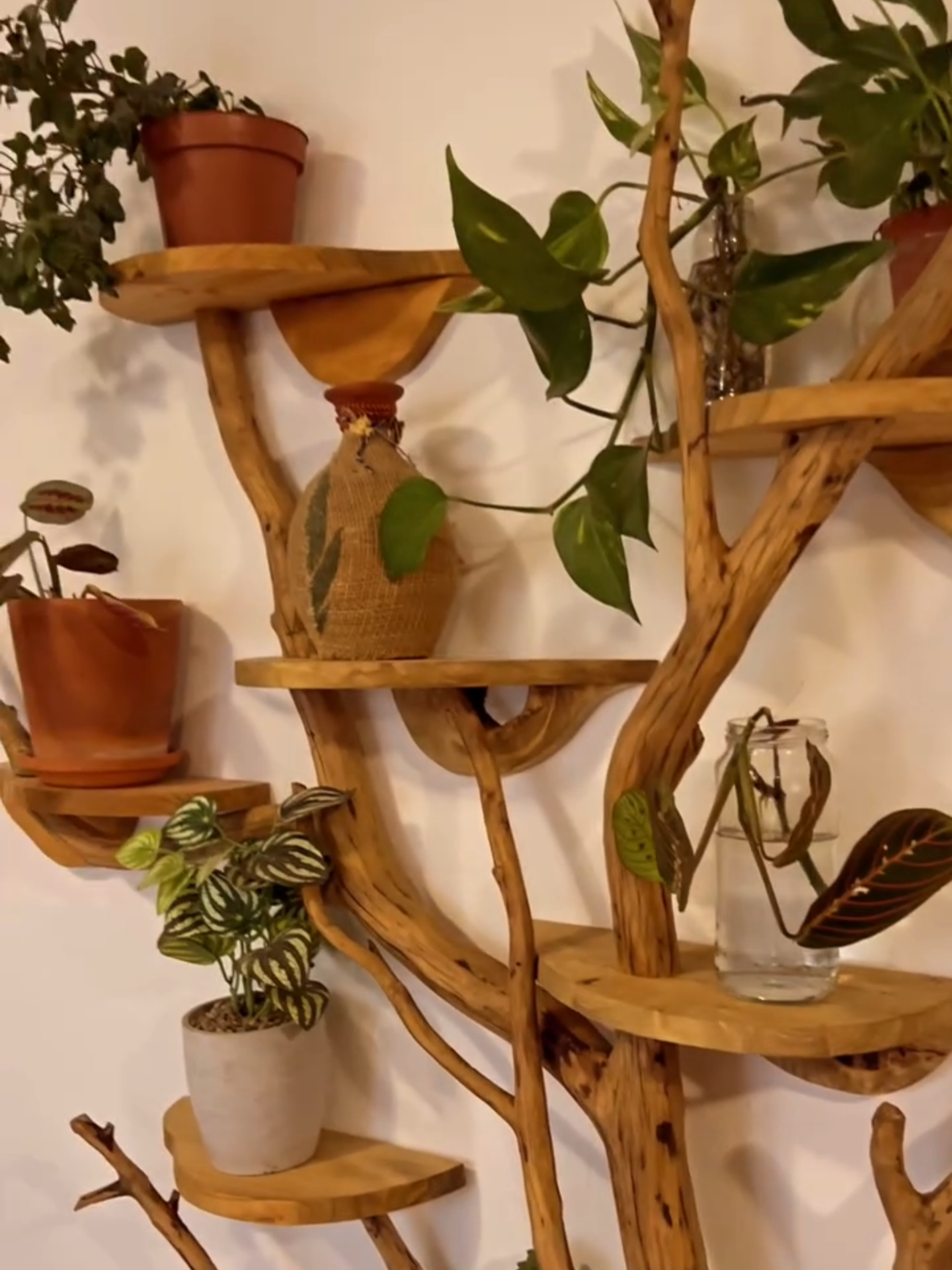🌿✨ Un soporte en forma de árbol que lleva la naturaleza a otro nivel. Perfecto para exhibir tus plantas favoritas y darle vida a cualquier espacio. 🌱🪵 ¿Te animas a hacerlo? 🌟 CREDIT @miss_whitejuditart #vivero #plantas #diseñointerior #sucuelntas #jardin #plantasexterior #cactus #parati#foryou#paratuhogar  #plantascasa #plantasinterior