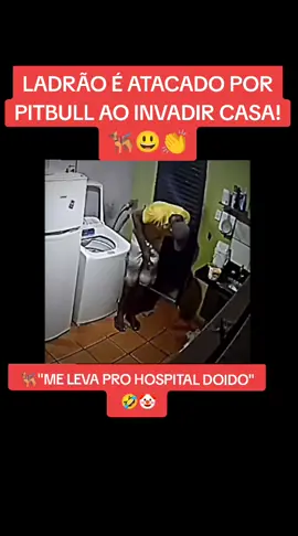 🐕‍🦺PITBULL ATACA LADRÃO!🐕‍🦺👏🤡 #vídeosengraçados #videos #videoviral #videosnapchallenge #videostar #viralvideotiktok #viralvideos #comediahumor #comedia #comédias #comédia #comédiabr #comédiabrasil #pitbull #pitbullsoftiktok #pitbulllove #pitbulls #pitbulldogs #pitbulls_official #cachorro #cachorros #cachorrosdotiktok #cachorrosnotiktok #cachorrosdobrasil #dog #dogsoftiktok #dogs #doglovers #cão #cãozinho #cãodeguarda #cao #ataque #ataqueanimal #ladrão #guarda #proteger #hospital #morder #cachorrosengraçados  #mordida #mordidas #doido #roubo #crazy #crazydog ##crazyboy #fyy #fyyyyyyyyyyyyyyyy #vibes #vibe #Deus #cachorrosfofos #cachorrofofo #comics #rir #rirpranãochorar #humor #humortiktok #humorbr #humorbrasil #protectiondog #protection #proteção #vigia #segurança #seguranca #segurancaprivada #segurançapública #viral_video #virał #nossasenhora #picapau #acertou #memestiktok #memesbr #memesbrasil #memetiktok #portugal🇵🇹 #Portugal #europa #euro #europetiktok #Brasil #brasil🇧🇷 #pitbullchallenge 