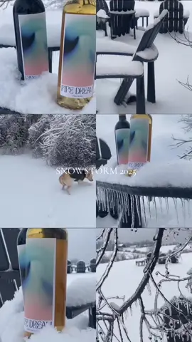 We know how to snowstorm 😎 #snow #snowstorm #snowday 