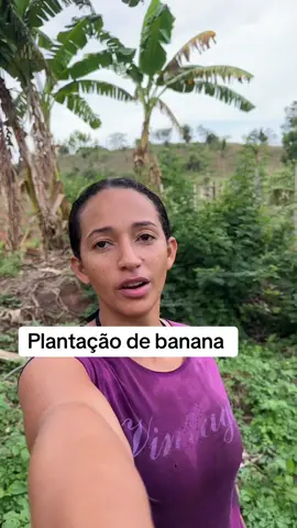 Plantação de banana #tiktokviral #RegistroDevida 