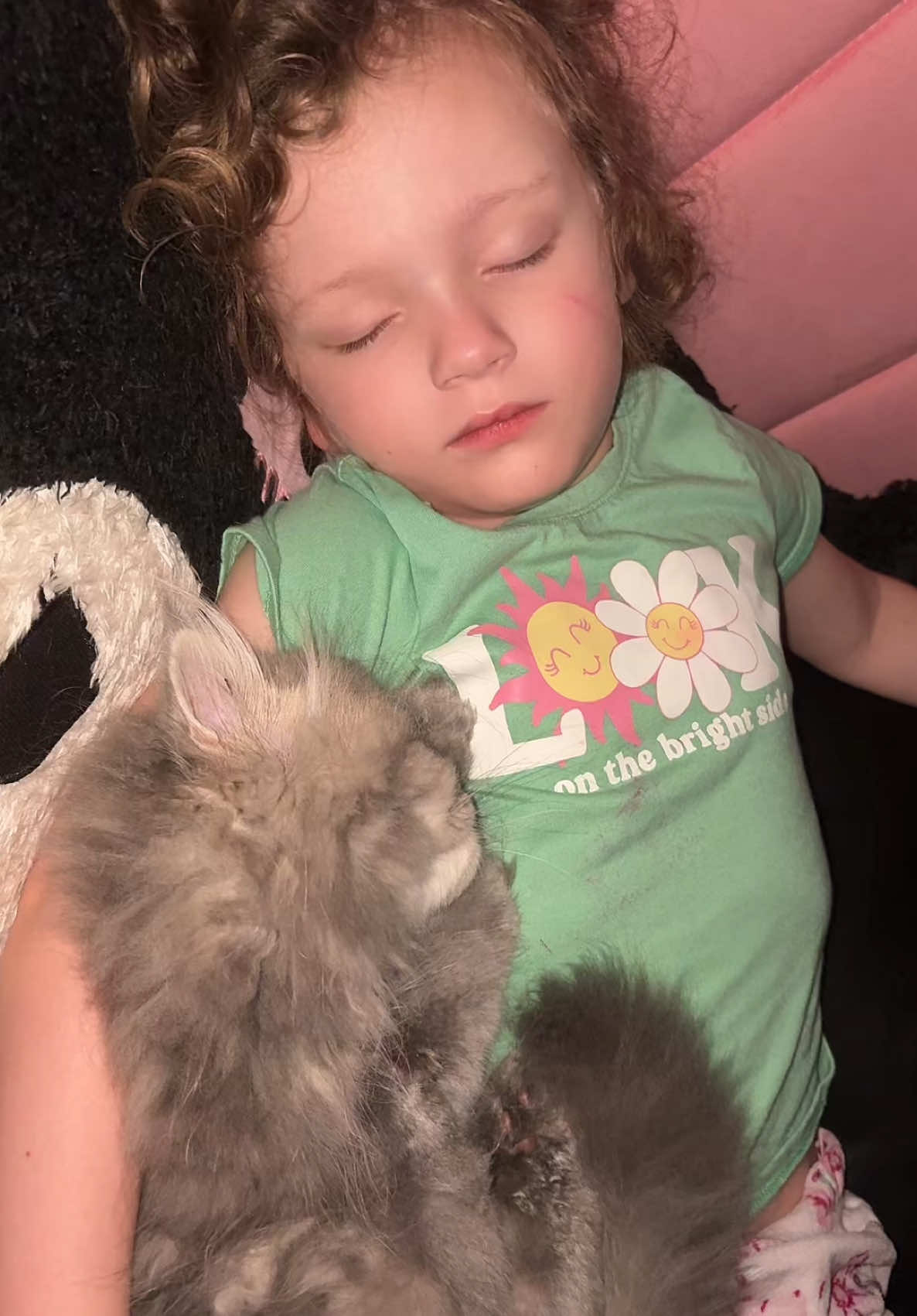 Imagine hatin on me & this what I’m doing & experiencing every night with my angel baby & fur babies 💕