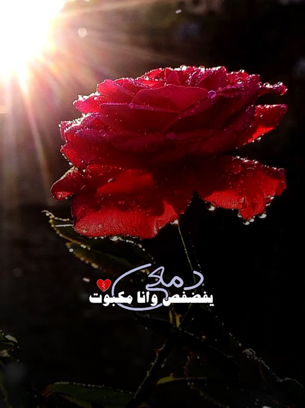 #CapCut دمعي يفضفض وانا مكبوت #خيبه #غريب_ال_مخلص #شيلات_حزينه #ستوريات_حزينة #explore #اكسبلور #شيلات #تصويري #lavendr81 #تصميم_فيديوهات🎶🎤🎬 #قوالب_كاب_كات #شيلات_روعه_خواطر_ذوق 