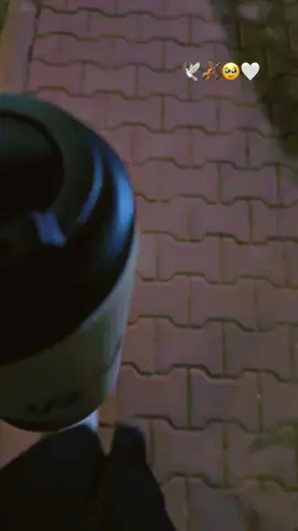 من علمك تسرق🕊️🕊️🥹🥹🥹🤍🤍🫂🫂❤️#اكسبلوررر #اكسسسسسبلورررررررررر🌹#الضباب_ابها  #الضباب#اكسبلورexplore ##الحب #حبيبي #احبكم  #المشكى_على_الله #خالد_عبدالرحمن_اعاني_حاولت_اجيبك #تصميم #تصاميم #تصميم_فيديوهات🎶🎤🎬 #من_اصدق_ما_قيل #من_اصدق_ماقرات #اكسبلور_explore #شيبت_روحي #ترند_تيك_توك #اطلبي_يانفس_دام_الله_كريم #اكسسسسسبلورررررررررر🌹 #foryou #viraltiktok #😭😭😭😭😭😭💔💔💔💔 #fyp #foryourpage #viraltiktok #fypシ゚viral #fyppppppppppppppppppppppp #بدون_هشتاق #بدون_توقيع #hope #tiktoklongs#foryourpage