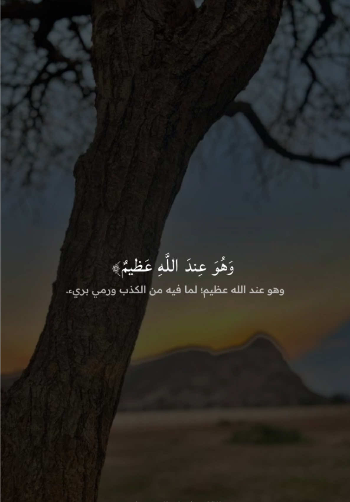 اكتب شئ تؤجر عليه 📿 #ريان_المحيسني #سورة_النور #quran_alkarim #التفسير_المختصر #لاإله_إلا_الله 