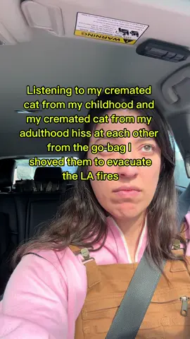 They r rly mad 😭 #losangeles #losangelesfire #eatoncanyonfalls #eatoncanyonfire #lafires #pacificpalisadesfire #wildfires #cats #catsoftiktok #comedy 