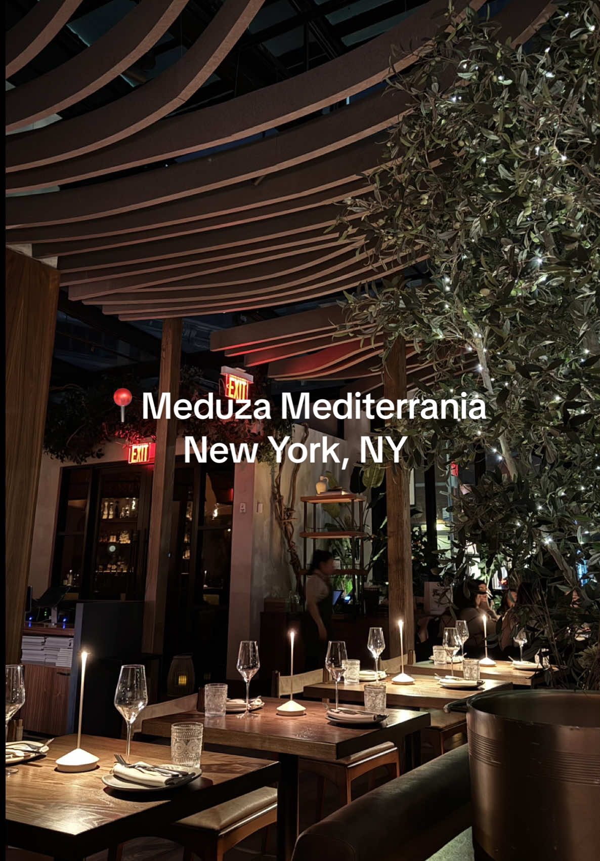 Every single thing we ordered was so good! Literally a 10/10 experience @Meduza Mediterrania is a MUST🤌🏾✨ #fyp #trending #girlsnight #nyc #BlackTikTok #blackgirlluxury #nyclife #girlsnight #nyctiktok 
