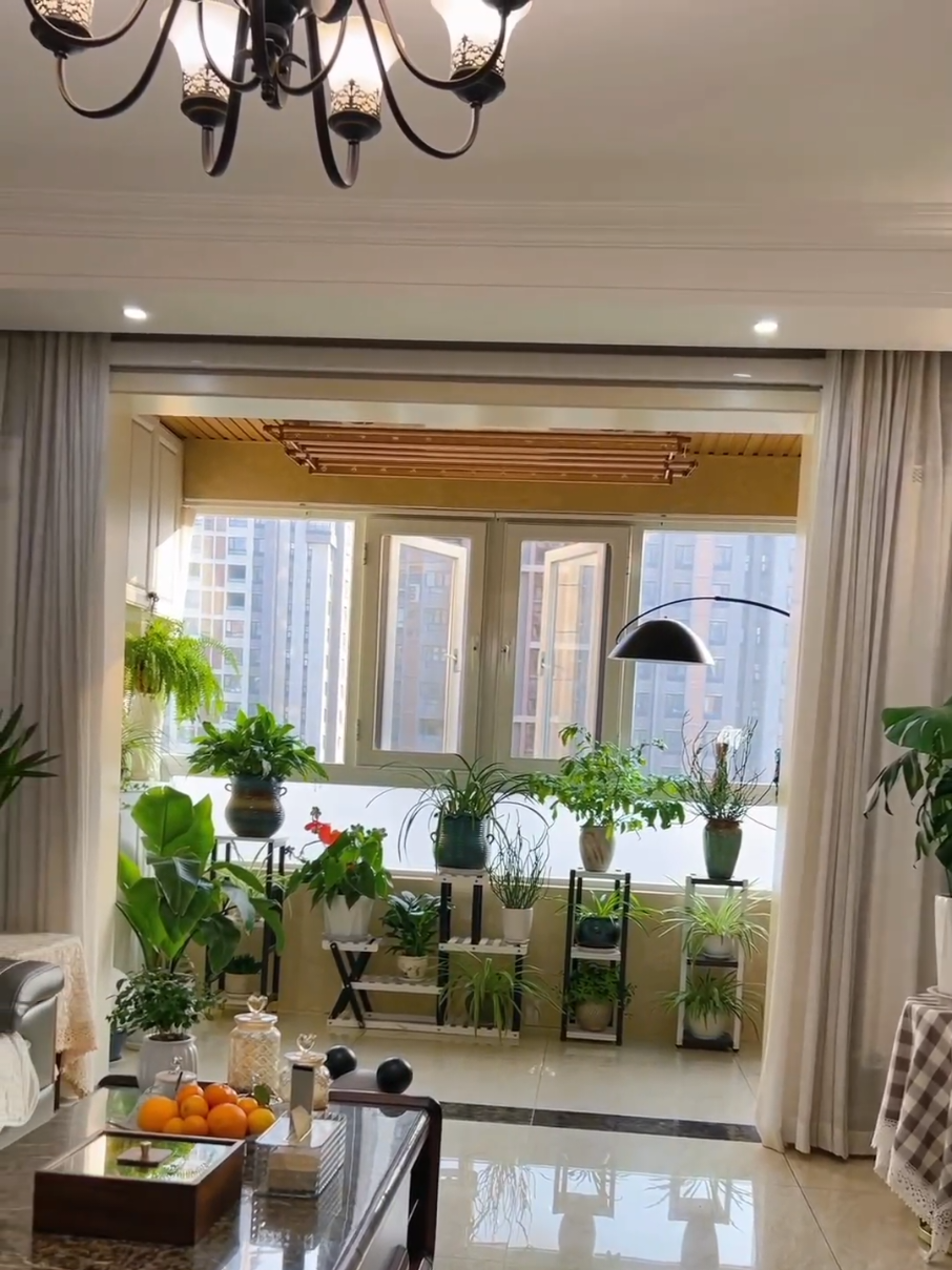 Transform your living room into a serene green haven with our elegant indoor plant pots and stylish stands. Elevate your home decor while embracing nature’s beauty. Perfectly designed for modern living, our collection adds charm, tranquility, and freshness to your space. Style your living room effortlessly with the perfect blend of nature and sophistication. #IndoorPlants #HomeDecor #PlantLovers #GardenInRoom #PlantDecor #UrbanJungle #HousePlants #NatureDecor #PlantAddict #GamalaStand 