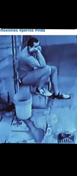 #cachorros #perritos #graciasdios #motivacion