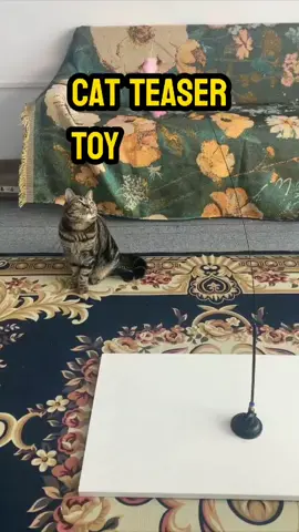 Is your cat full of energy and constantly scratching up your sofa? This suction-cup cat wand is here to save the day! #cat #teasertoy #cattoy #interactivecattoy #cattoys #catsoftiktok #kitten #teasertoyforcat #catmom #TikTokShop #foryou 