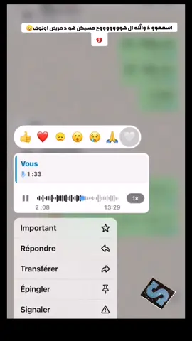 #شويرات_الظل #شويرات_البيظان #اكيسبلور__explore❤️💪❤️😉يأتي #الجماعة_البظان #الهول_الحساني_الموريتاني🇲🇷❤ #عاشت_موريتانيا_آمنة_مطمئنة🇲🇷❤ #