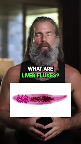 Liver flukes—these sneaky little parasites can wreak havoc on your health, draining your energy and disrupting your body’s natural flow. Your liver is a powerhouse, working tirelessly to detoxify and nourish your system. But when it’s weighed down by toxins, parasites, or stagnant energy, you’re not living your fullest life. Cleansing the liver isn’t just about removing flukes; it’s about renewing your vitality, sharpening your mind, and reconnecting with your true self. I’ve experienced firsthand the incredible transformation that happens when you prioritize liver health—it’s like hitting the reset button for your entire body. Feel off? Tired? Bloated? That’s your body asking for help. A good liver cleanse is an act of self-love and alignment with nature’s flow. Listen to your body—it knows the truth. Are you ready to cleanse and thrive? #liveflowsweatduet #liverdetox #detox #livercleanse #healthiswealth #fyp #foryou 