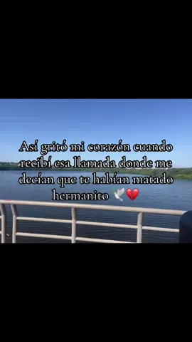 No sabes cuánto te extraño hermanito, me dolerás toda la vida Pepenche 💔🕊️🥺#paratiiiiiiiiiiiiiiiiiiiiiiiiiiiiiii #teextraño 