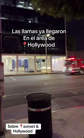Resguárdense, si no tienen porque salir no lo agan, padre cuida de todo aquel que está trabajando, que anda en las calles, cuida de cada persona & animalito, amén  #aticlamamospadre #2025 #incendio #hollywood #calles #viento #humo #llamas #viral #fypシ #teistesa #miedo 