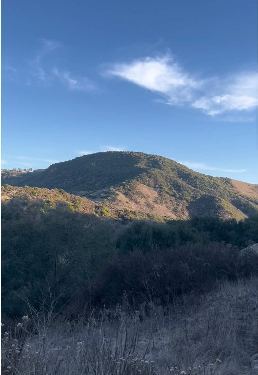 🏃‍♀️🏃‍♀️🏃‍♀️🏃‍♀️