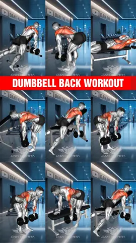 Dumbbell Back Workout #backworkout #dumbbellworkout #danthehinh #GymTok #gym #Fitness #foryou #taplung 