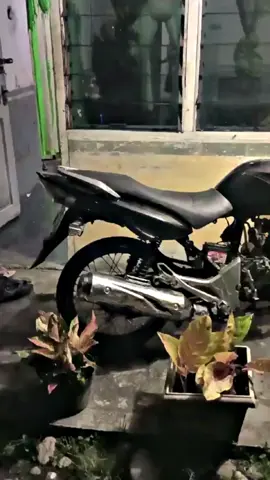 tren mu bolo🤩🤩🤩 #fypppppppppppppppp  #tigermodifikasiindonesia  #tigergank🚀  #barong_gank 