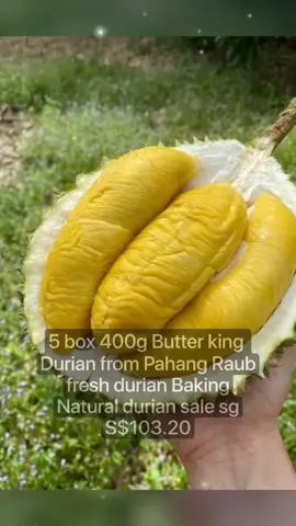 #EnergiKuatTiapLangkah 