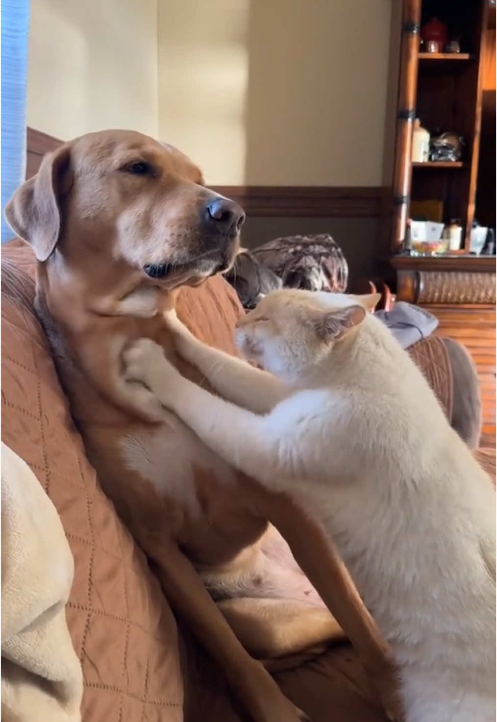 Biscuits and cobbing, a love of epic proportions 😍 @Kimberly Webb 