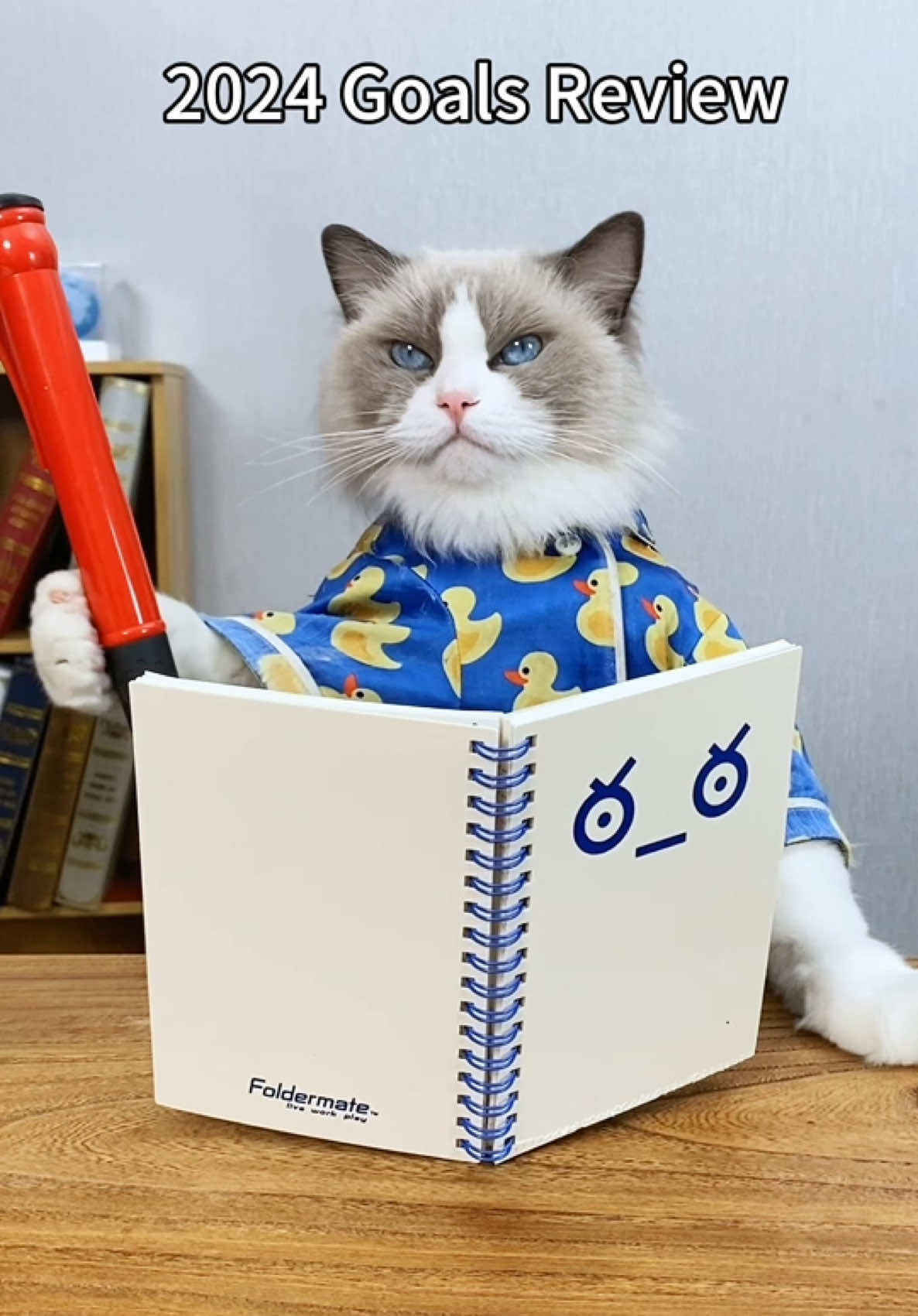 🎯 Reflecting on Puff’s 2024 highlights! What goals did you achieve this year? #PuffAchievements #YearInReview #thatlittlepuff 