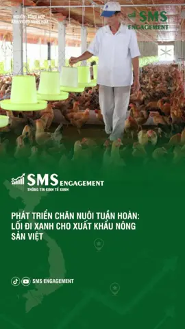 Phát triển chăn nuôi tuần hoàn: Lối đi xanh cho xuất khẩu nông sản Việt #channuoituanhoan #nongnghiepxanh #xuatkhaunongsan #kinhtetuanhoan #sanphamsach #phattrienbenvung #kinhtexanh #smsengagement