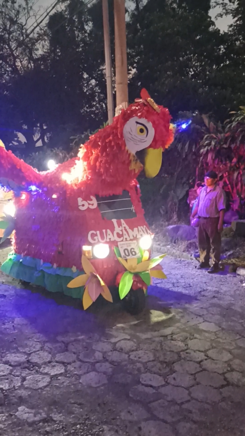 Desfile de tuc tuc disfrazados!!! 🇬🇹 #paratiiiiiiiiiiiiiiiiiiiiiiiiiiiiiii #flyppppppppppppppppppppppppppppppp #tuctuc #guatemala🇬🇹viral #guatemala_502 