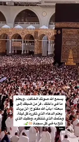 #لااله_الاالله #دعاء #اللهم #ربي #صدقة_جارية #استجابة_الدعاء #بدر_التركي #دعاء_يهز_القلوب_وتدمع_لة_العيون #مكة_المكرمة #الكعبة_المشرفة #يارب_فوضت_امري_اليك #ذكر #اذكار #اللهم_ارحم_موتنا_وموتا_المسلمين #يوم_الجمعة #ساعة_استجابة #اللهم _صل_وسلم_على_نبينا_محمد#عليه_الصلاة_والسلام❤️ 