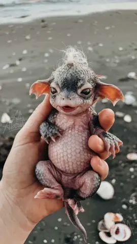 Found this tiny dragon by the shore 🐲✨ #DragonHatchling #UnexpectedTreasure 