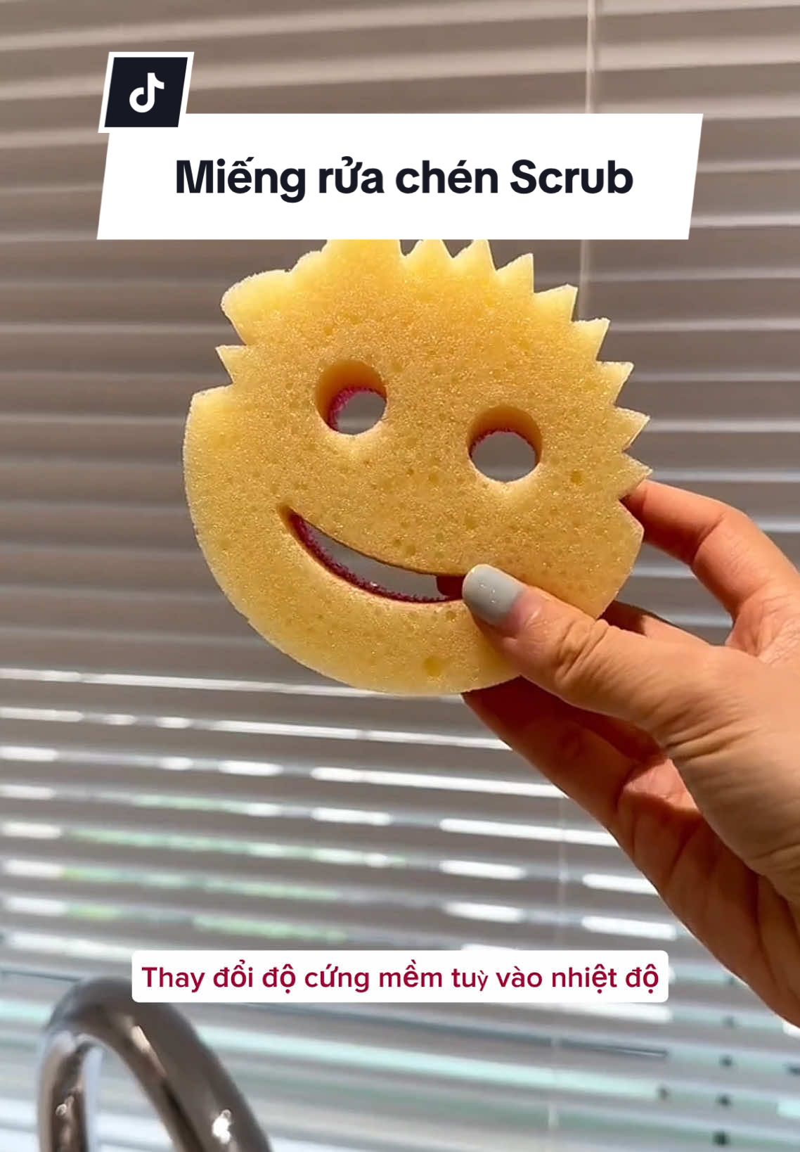 Miếng rửa chén bát đĩa mặt cười Scrub Mommy & Daddy  #miengruachen #miengruachenbat #botbienruabat #scrub #scrubdaddy #scrubmommy #xh #decorsiuxinh 