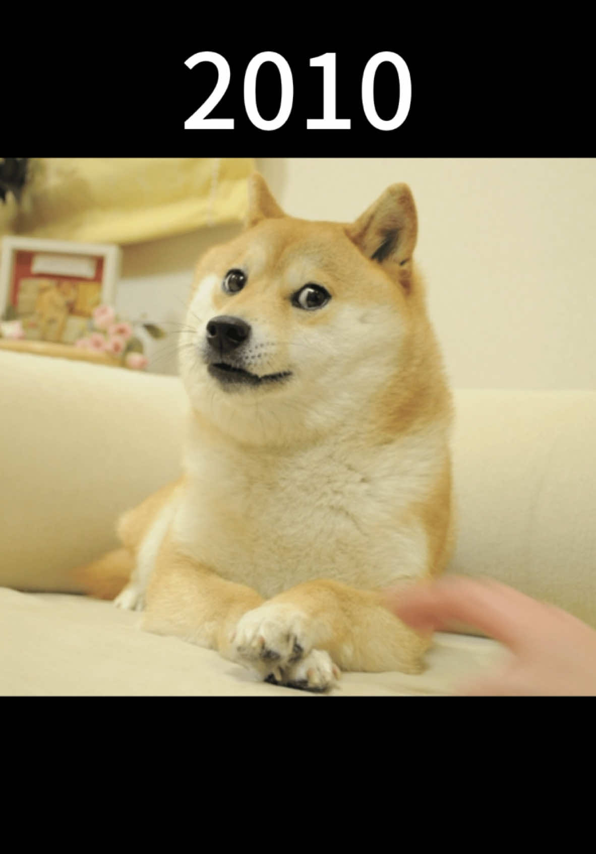 Famous Memes Then Vs Now #nostalgia #memes #meme #legend 