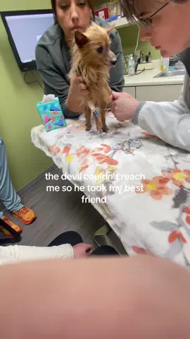 i just want my baby back. #fy #sad #dog #fypシ 